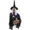 Haunted Hill Farm - Animatronic Witch Groundbreaker with Lights and Sound, Indoor/Covered Outdoor Halloween Decoration - Multi