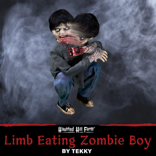 Haunted Hill Farm - Crouching Limb Eater Zombie Boy by Tekky, Indoor or Covered Outdoor Premium Halloween Animatronic, Plug-In or Battery