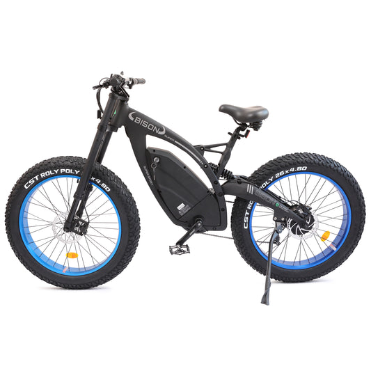 Ecotric Big Fat Tire Ebike Bison-Matt Black