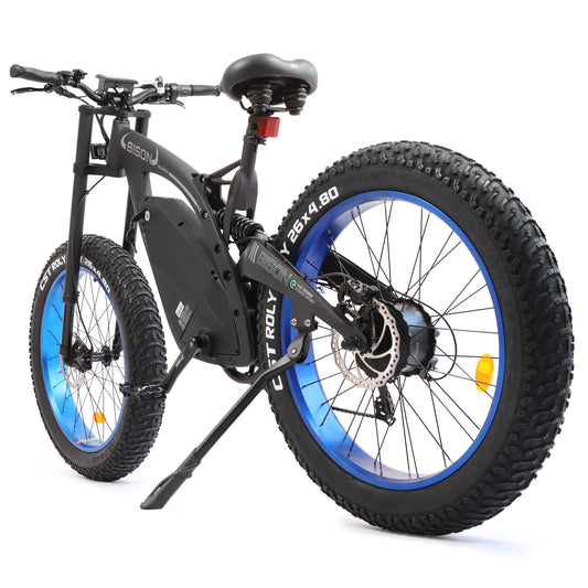 Ecotric Big Fat Tire Ebike Bison-Matt Black
