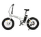 Ecotric White Fat Tire Portable And Folding Electric Bike - (UL-certified model)