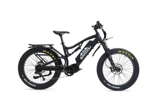 Bakcou - Storm E-Bike