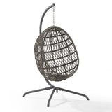 Crosley Furniture - Tess Indoor/Outdoor Wicker Hanging Egg Chair Gray/Driftwood - Egg Chair & Stand