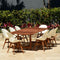 Amazonia Outdoor Teak Dining Set Amazonia Charlotte Deluxe 9 Piece Rectangular Patio Dining Set