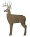 Block Hunting : Targets Block Glendel 3D Buck Glendel Buck