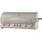 Bull Grills Bull Grills - 47-Inch 6-Burner Built-In Propane Gas Grill with Rear Infrared Burner | 62648