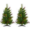 Christmas Time - Set of Two 2-Ft. Red Berry Mixed Pine Artificial Trees with Battery-Operated Multi-Colored LED String Lights