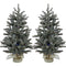 Christmas Time - Set of Two 2-Ft. Yardville Pine Artificial Porch Trees with Burlap Bases and Battery-Operated Multi-Colored LED String Lights