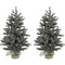 Christmas Time - Set of Two 4-Ft. Yardville Pine Artificial Trees with Burlap Bases and Multi-Colored LED String Lights