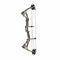 Darton Archery : Youth Darton Recruit Youth Compound Bow Pkg Vista Camo 25-30lb LH