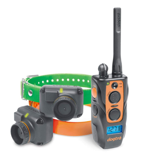 Dogtra Gifts & Novelty : Pets Dogtra 2702T and B Training and Beeper Collar