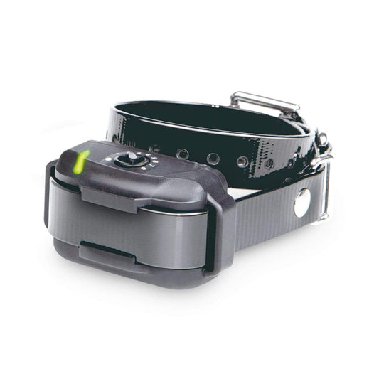 Dogtra Gifts & Novelty : Pets Dogtra E-Fence EF-3500 RX Extra Receiver-Black