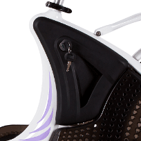 Ecotric E-Bikes Accessories Replacement Battery for ECOTRIC Lark Ebike