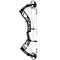 Elite Archery Archery : Bows Elite Option 6 70# RH