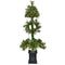 Fraser Hill Farm - 4-Ft. Porch Tree Topiary in Black Pot with Pinecones, Berries, and Warm White LED Lights