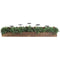 Fraser Hill Farm - 42-inch 5-Candle Holder Holiday Centerpiece with Boxwood Greenery and Red Berries in Wooden Box