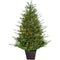 Fraser Hill Farm - 4.0-Ft Adirondack Pre Lit Potted Christmas Tree Decor with Warm White LED Lights
