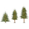 Fraser Hill Farm - Set of 3 Green Alpine Trees with Warm White LED Lights (3-Ft., 4-Ft., & 5-Ft.)