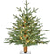 Fraser Hill Farm - 2-Ft. Green Alpine Porch Accent Tree with Warm White LED Lights