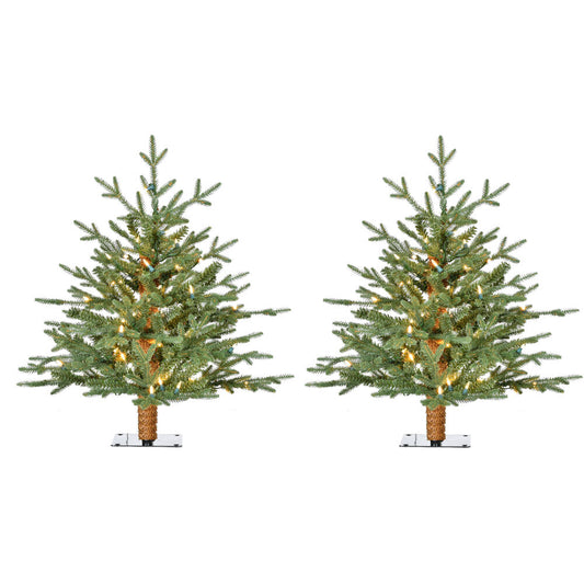 Fraser Hill Farm - 2-Ft. Green Alpine Porch Accent Tree with Warm White LED Lights, Set of 2