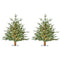 Fraser Hill Farm - 2-Ft. Green Alpine Porch Accent Tree with Warm White LED Lights, Set of 2
