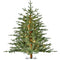 Fraser Hill Farm - 3-Ft. Green Alpine Porch Accent Tree with Warm White LED Lights