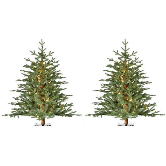 Fraser Hill Farm - 3-Ft. Green Alpine Porch Accent Tree with Warm White LED Lights, Set of 2
