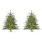Fraser Hill Farm - 3-Ft. Green Alpine Porch Accent Tree with Warm White LED Lights, Set of 2
