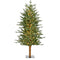 Fraser Hill Farm - 4-Ft. Green Alpine Porch Accent Tree with Warm White LED Lights