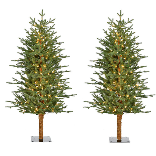 Fraser Hill Farm - 4-Ft. Green Alpine Porch Accent Tree with Warm White LED Lights, Set of 2