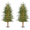 Fraser Hill Farm - 4-Ft. Green Alpine Porch Accent Tree with Warm White LED Lights, Set of 2