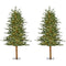 Fraser Hill Farm - 5-Ft. Green Alpine Porch Accent Tree with Warm White LED Lights, Set of 2
