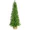 Fraser Hill Farm - 3-Ft. Boxwood Porch Tree in Burlap Bag