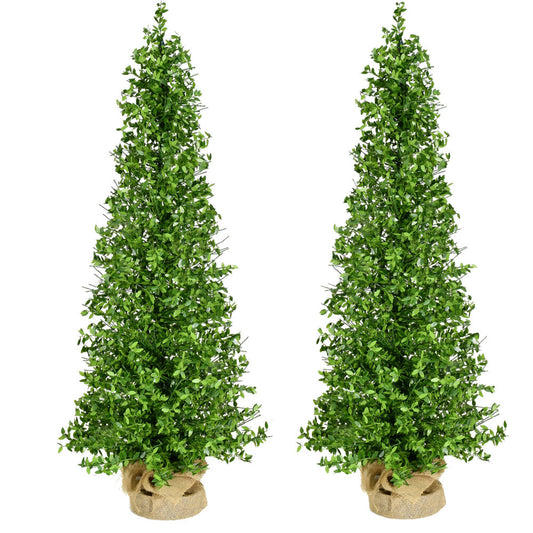 Fraser Hill Farm - 3-Ft. Boxwood Porch Tree in Burlap Bag, Set of 2