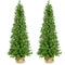 Fraser Hill Farm - 4-Ft. Boxwood Porch Tree in Burlap Bag, Set of 2
