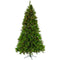 Fraser Hill Farm - 6.5-Ft. Canyon Pine Christmas Tree with Warm White LED Lighting