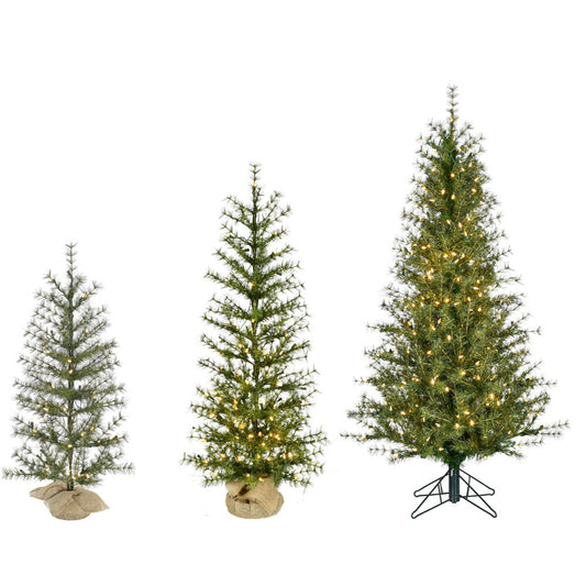 Fraser Hill Farm - Set of 3 Farmhouse Fir Trees with Warm White LED Lights (3-Ft., 4-Ft., & 5-Ft.)