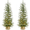 Fraser Hill Farm - 4-ft. Farmhouse Fir Christmas Tree with Burlap Bag and Warm White LED Lights, Set of 2