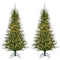 Fraser Hill Farm - 5-ft. Farmhouse Fir Christmas Tree with Warm White LED Lights, Set of 2