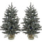 Fraser Hill Farm - Set of Two 4-Ft. Heritage Pine Artificial Trees with Burlap Bases and Multi-Colored LED String Lights