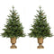 Fraser Hill Farm - Set of Two 3-Ft. Noble Fir Artificial Trees with Metallic Urn Bases