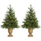 Fraser Hill Farm - Set of Two 3-Ft. Noble Fir Artificial Trees with Metallic Urn Bases and Battery-Operated LED String Lights