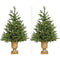 Fraser Hill Farm - Set of Two 3-Ft. Noble Fir Artificial Trees with Metallic Urn Bases and Battery-Operated Multi-Colored LED String Lights
