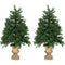 Fraser Hill Farm - Set of Two 4-Ft. Noble Fir Artificial Trees with Metallic Urn Bases and LED String Lights