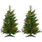 Fraser Hill Farm - Set of Two 2-Ft. Newberry Pine Artificial Trees with Battery-Operated Multi-Colored LED String Lights