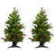 Fraser Hill Farm - Set of Two 4-Ft. Newberry Pine Artificial Trees with LED String Lights