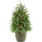 Fraser Hill Farm - 4-Ft. Potted Pine Tree with Clear Lights