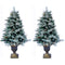Fraser Hill Farm - 4.5-Ft. Set of 2 Frosted Porch Accent Tree with Pinecone Accents in Decorative Pots with Warm White Lighting