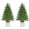 Fraser Hill Farm - 3.5-Ft. Porch Accent Tree in Rustic Farmhouse Metal Jug, Set of 2, No Lights