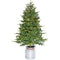 Fraser Hill Farm - 3.5-Ft. Porch Accent Tree in Rustic Farmhouse Metal Jug with Warm White LED Lighting